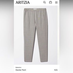 Aritzia Babaton Dexter pants